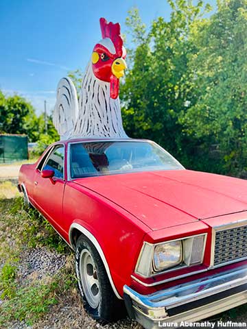 Chicken car.