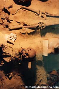 Skeletons visible from the floor above.