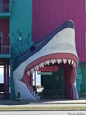 Shark head entrance.