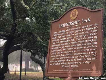 Friendship Oak historical marker.