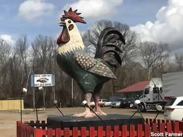 Rooster statue.