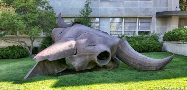 Giant Buffalo Skull outdoor sculpture.