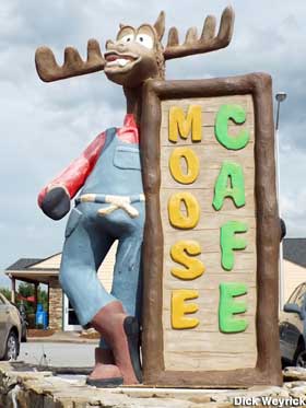 Moose.