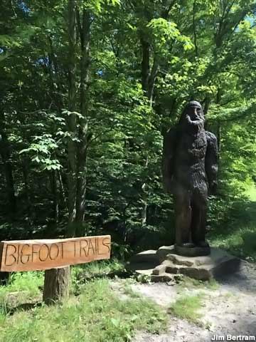 Bigfoot Trails.