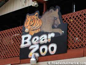 Bear Zoo.