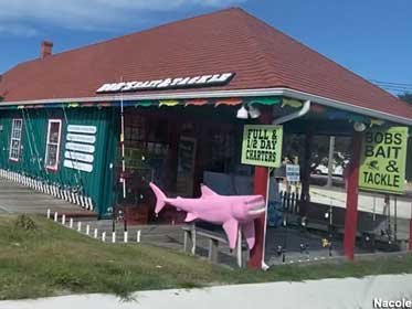 Pink shark at a tackle shop.