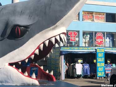 Shark entrance.