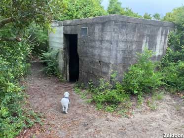 Hermit bunker.