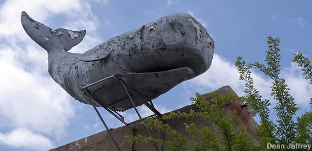 Whale statue.