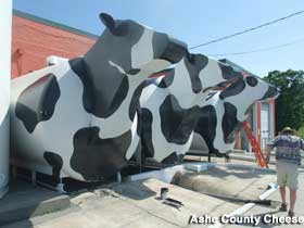 Big milk tank cows.