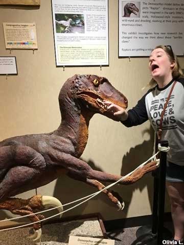 Dinosaur and museum visitor interact.