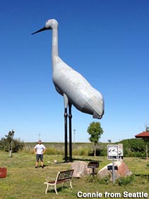 Giant crane.