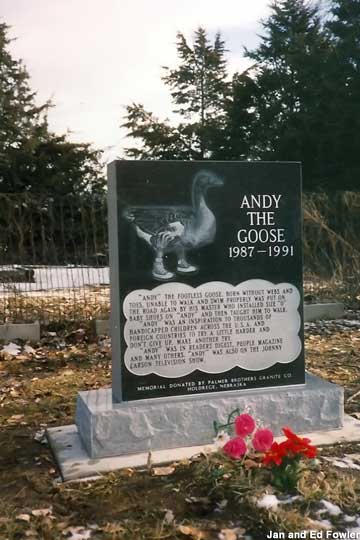 Andy the Goose grave marker.