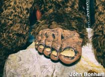 Bigfoot Crossroads of America Museum
