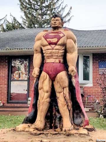 Superman Tree carving.