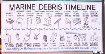 Marine Debris Timeline - Cape May Point.