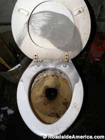 Hitler's toilet.