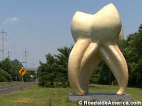 Giant tooth.