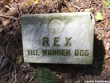 Grave of Rex the Wonder Dog.