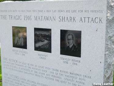 Tragic Shark Attack monument.