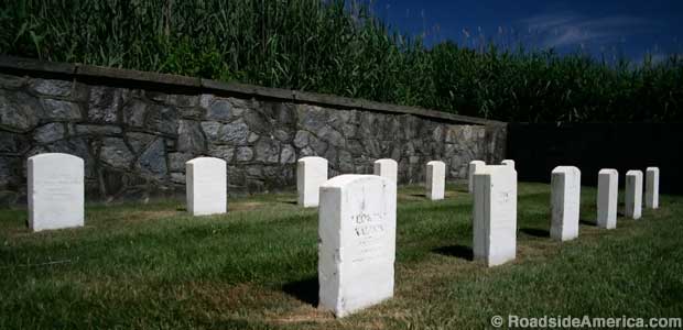 Some of the grave markers.