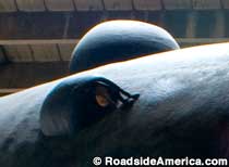 The Intelligent Whale submarine.