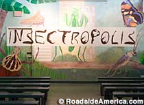 Insectropolis.