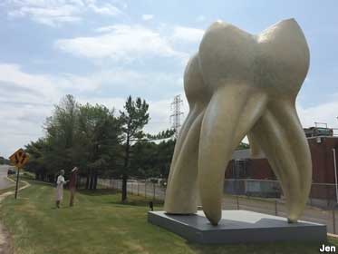 World's Largest Tooth.