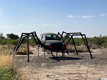 VW Spider.