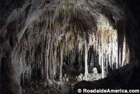 Stalactites and columns in Carlsbad Caverns.