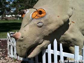 Triceratops vandalized.