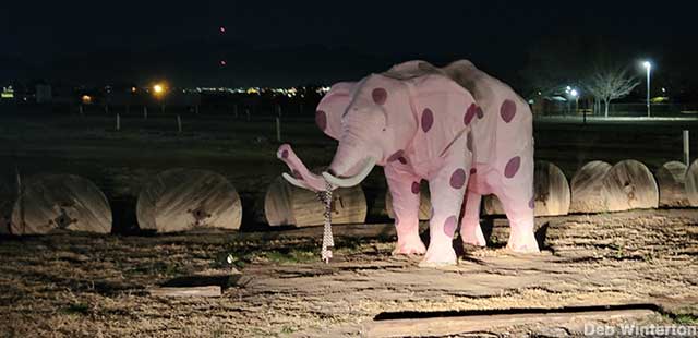 Pink Spotted Elephant.