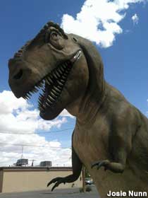 T-Rex statue.