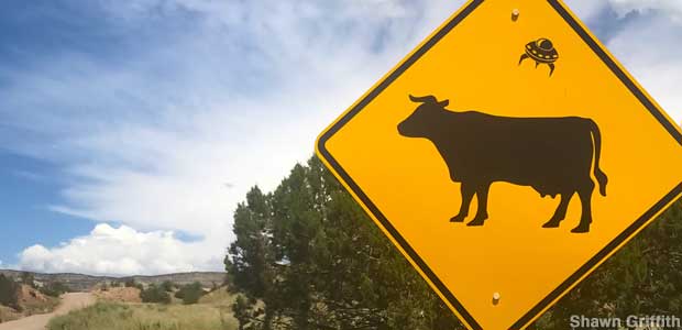 Cattle Crossing UFO Sign.