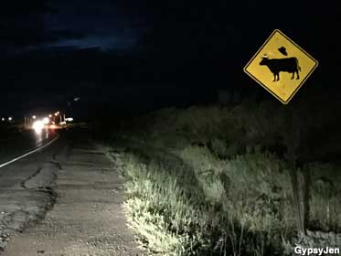 Cattle vs. UFO sign.