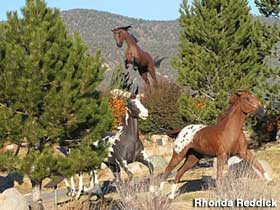 Horse statues.