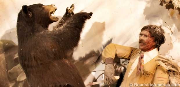 Bear vs. Jedediah Smith, Bonnie Springs Ranch, Nevada.