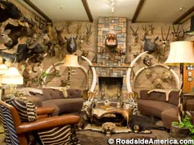 Reconstructed living room with big game trophies.