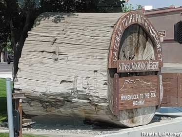 World's Largest Driftwood.