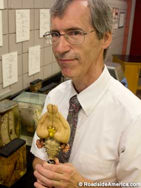 Dr. Chris Cohan, curator of the Brain Museum.