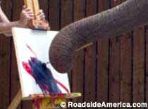 Surapa, Painting Elephant.