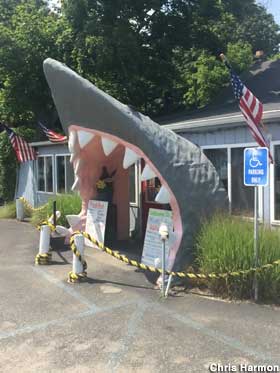 Shark mouth entrance.