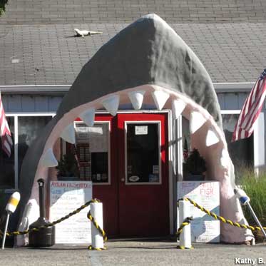 Shark mouth entrance.