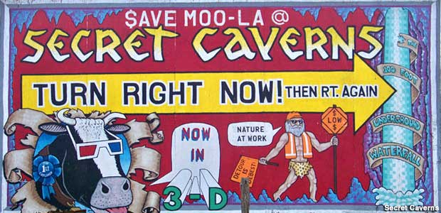 Save Moo-la billboard.