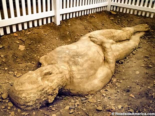 Cardiff Giant on display today.