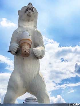 Polar Bear with Ice Cream.