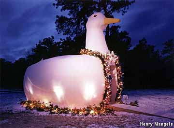 Big Duck at Christmas time.