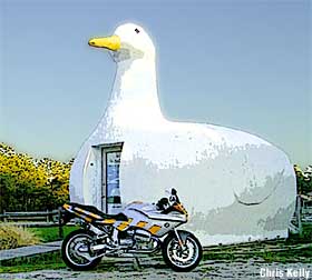 The Big Duck.
