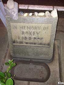 Grave of Roxey the Railroad Dog - located underneath the guardrail.