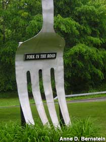 Fork in the Road.